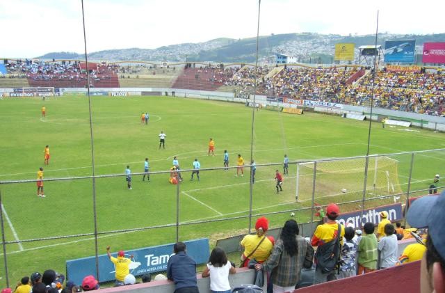 Chillogallo