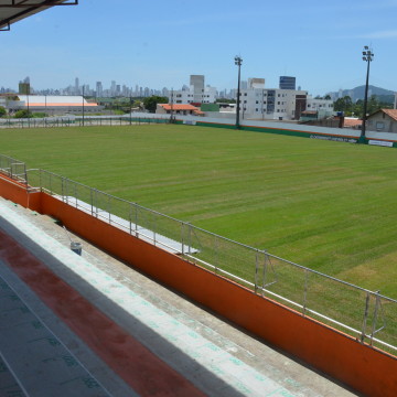 Robertão